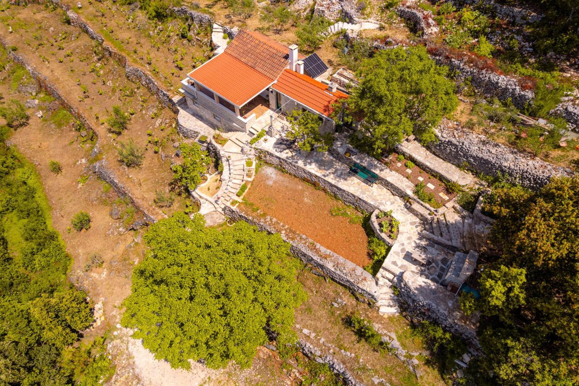 Meadow Hill Villa Zrnovo Bagian luar foto