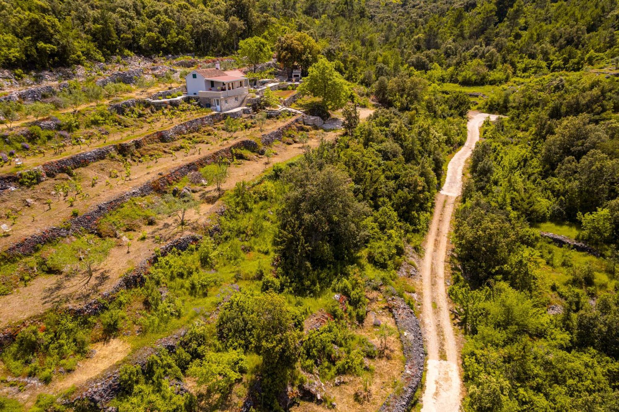 Meadow Hill Villa Zrnovo Bagian luar foto