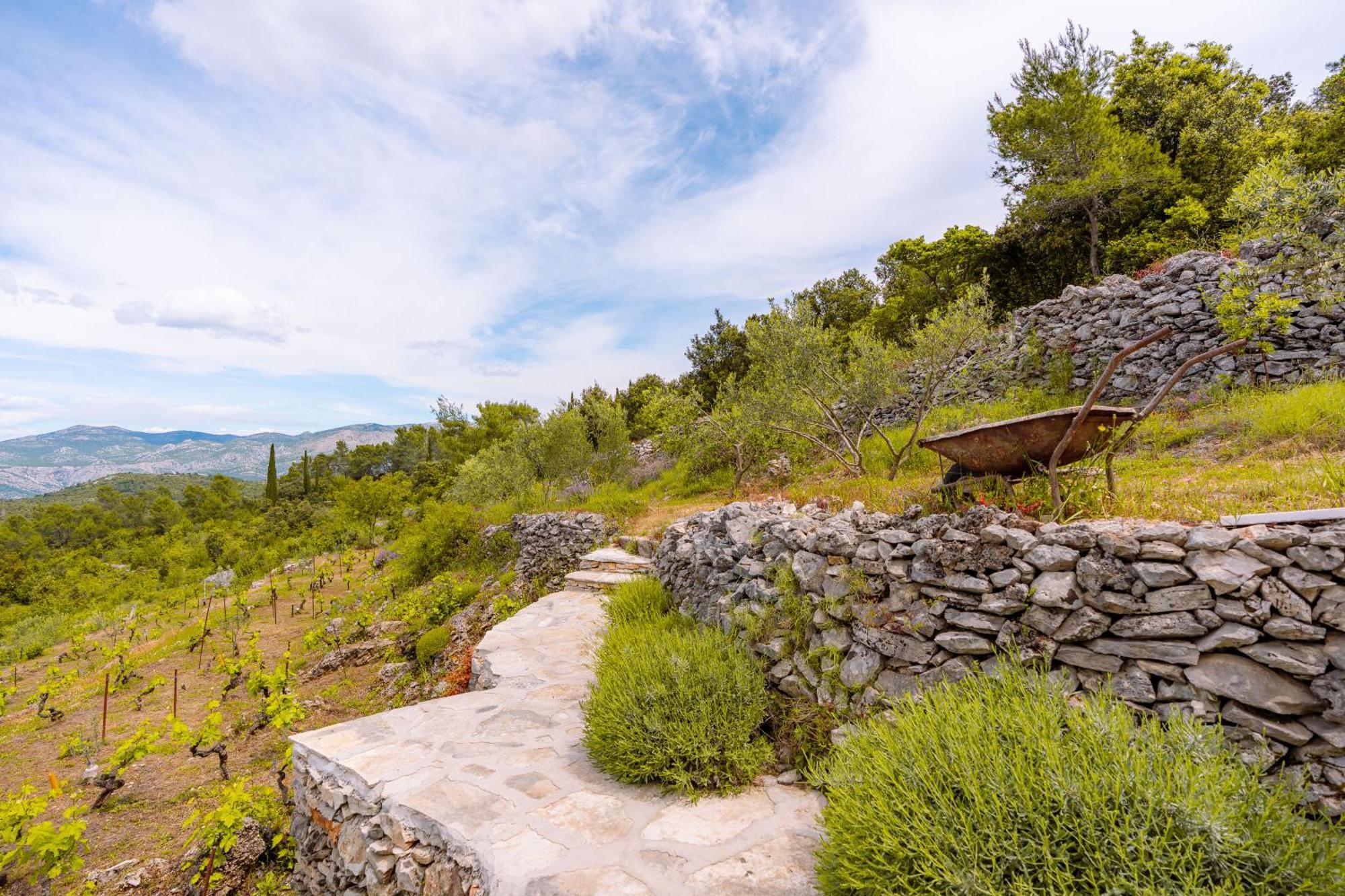Meadow Hill Villa Zrnovo Bagian luar foto