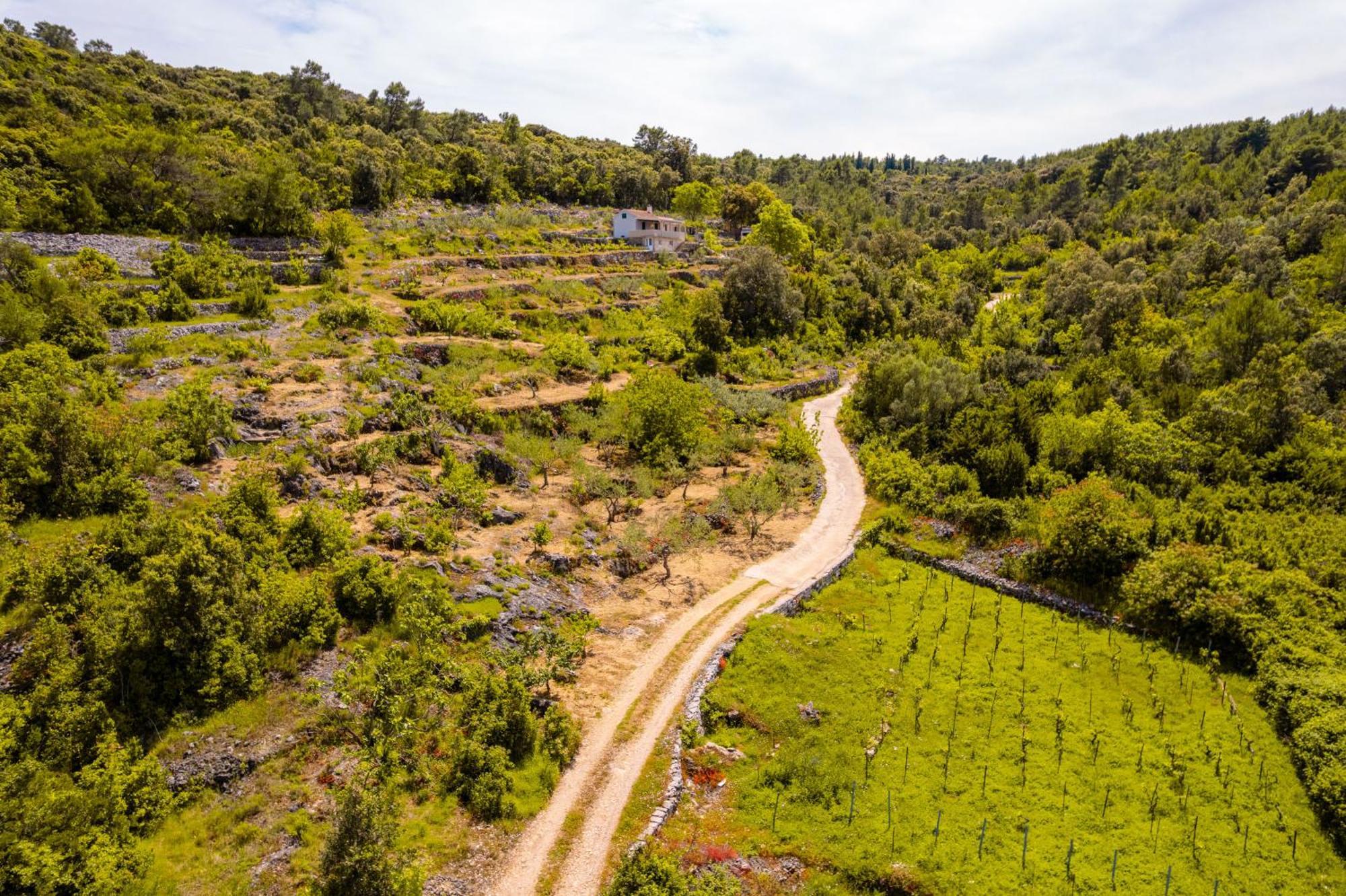 Meadow Hill Villa Zrnovo Bagian luar foto